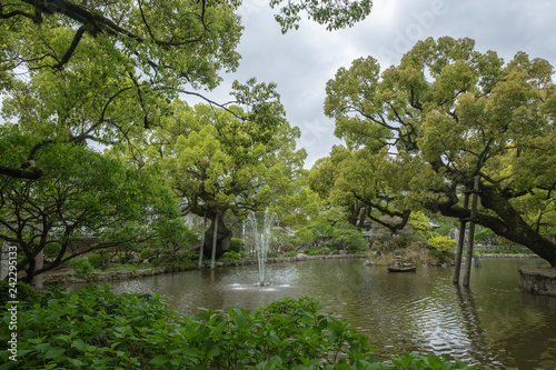 Landscape of beautiful and colorful garden japanese style in summer.