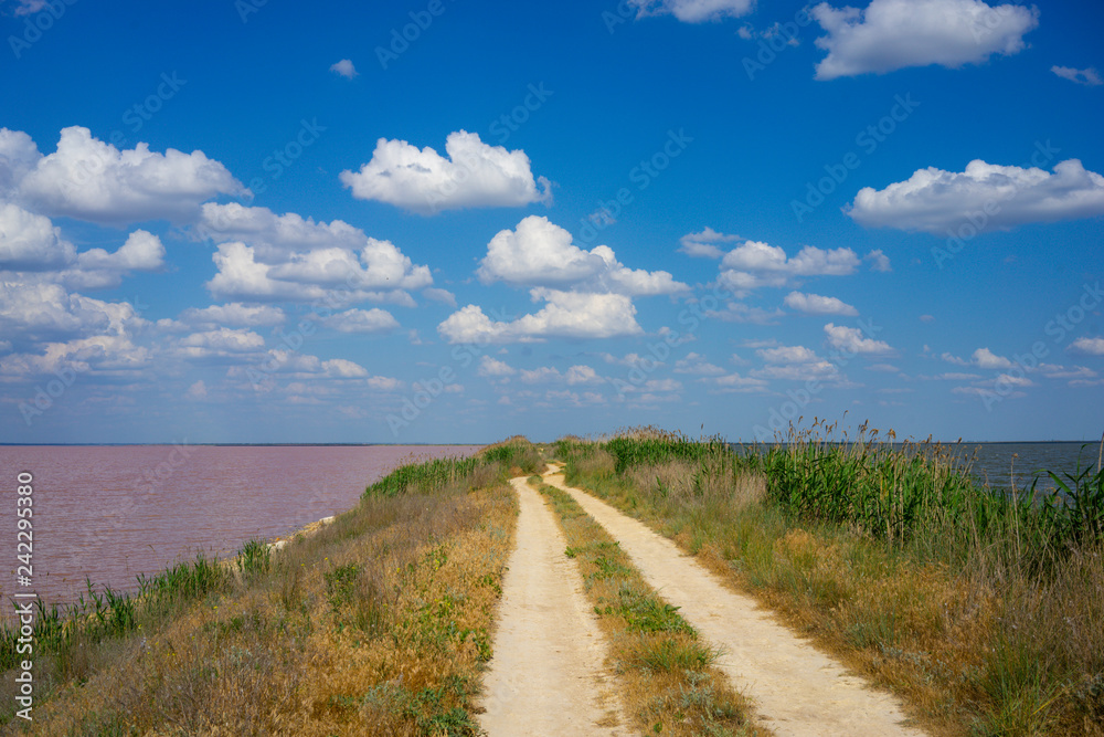 Natural landscape with a fantastic pink lake Natural landscape with a fantastic pink lake