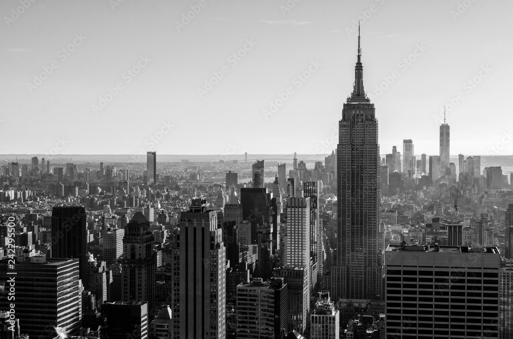 Obraz premium Black and White Cityscape of New York