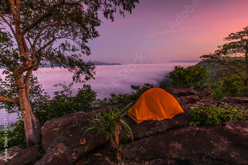 The traveler's orange tent on high mountain and sea of mist.