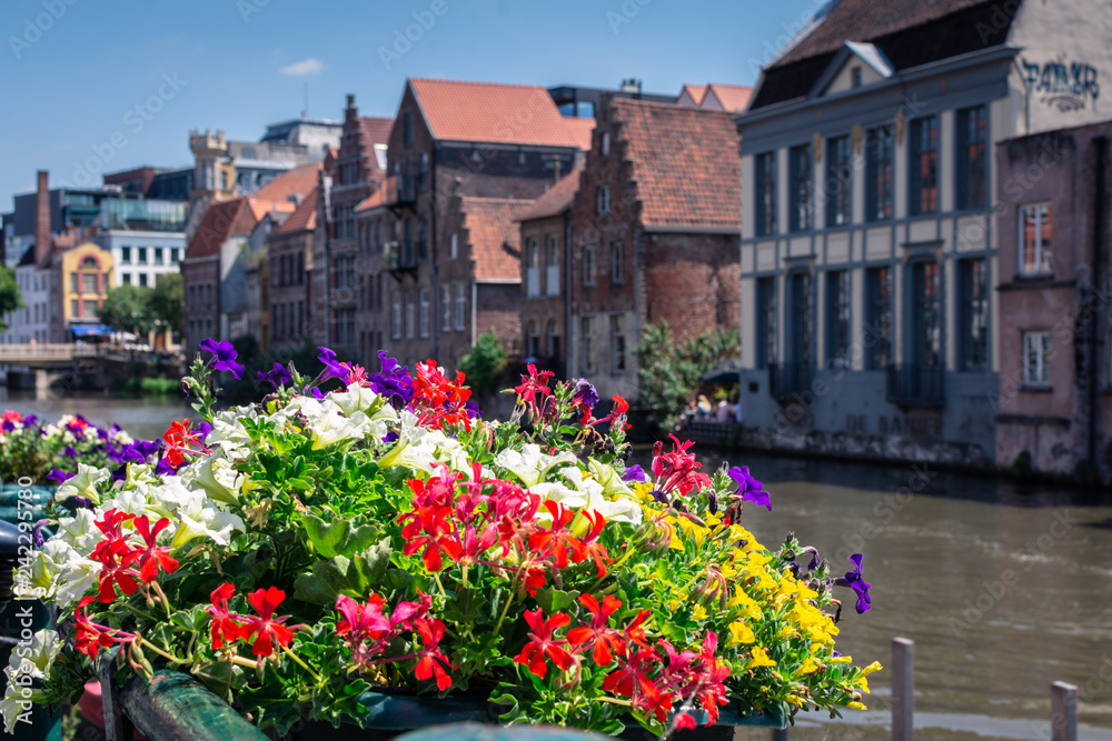 flower pots at the edge of the canal on a sunny day in Ghent, Belgium, Europe. Nice view of picturesque medieval houses on the quay of Leie river and flowers, Old Town of Ghent, Belgium