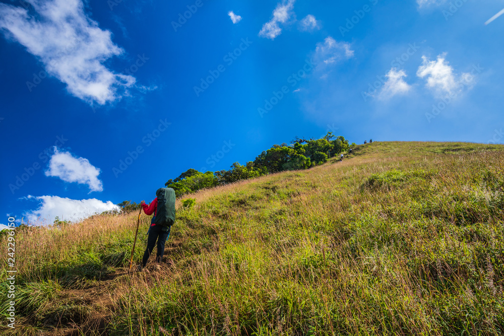 Young backpacking woman hiking on mountains. Doi Mon Chong, Chiangmai, Thailand.