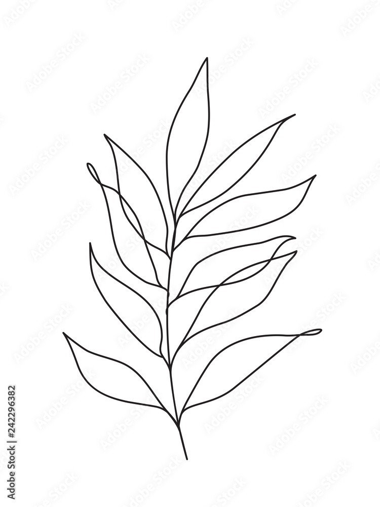 simple eucalyptus leaves simple eucalyptus leaves