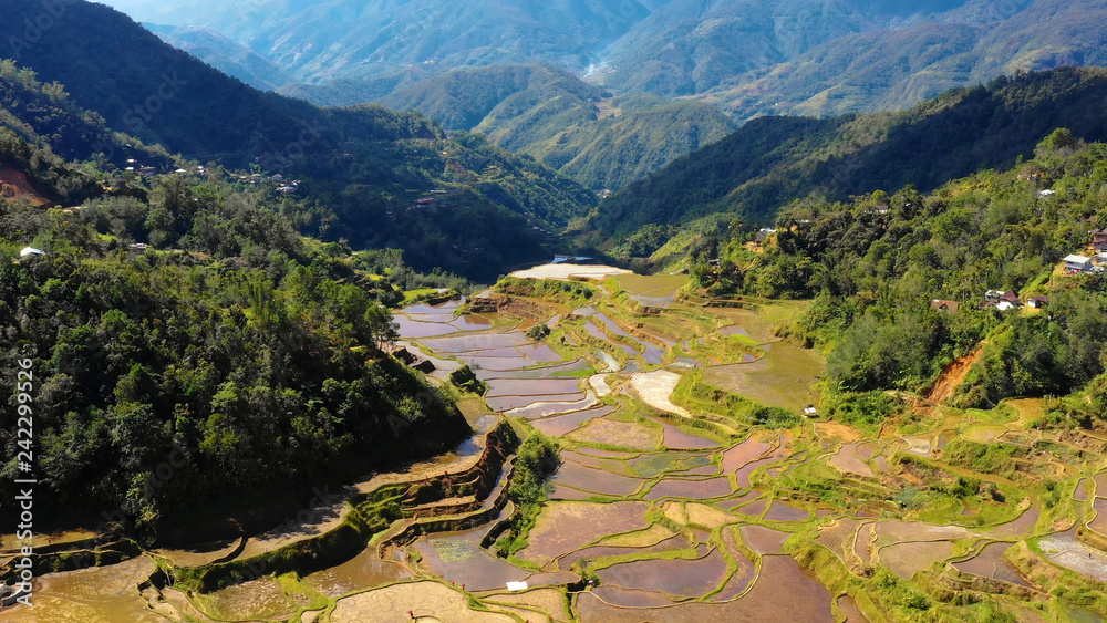 rice terraces in aerial view, Philippines