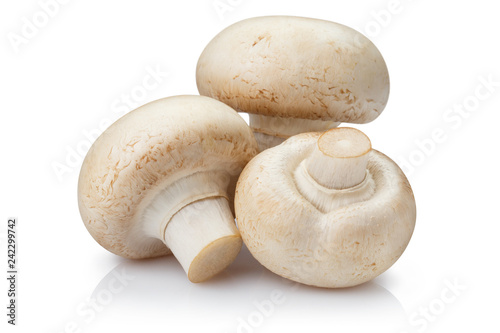 Fresh champignon mushrooms, isolated on white background