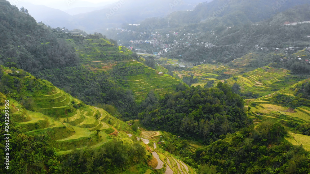 rice terraces in aerial view, Philippines
