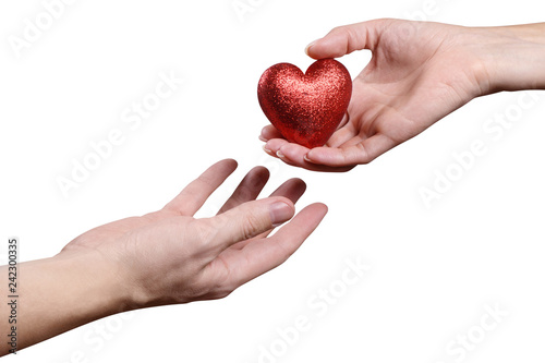 Fototapeta Naklejka Na Ścianę i Meble -  Female hand shares a red love heart with a male hand, isolated on white background