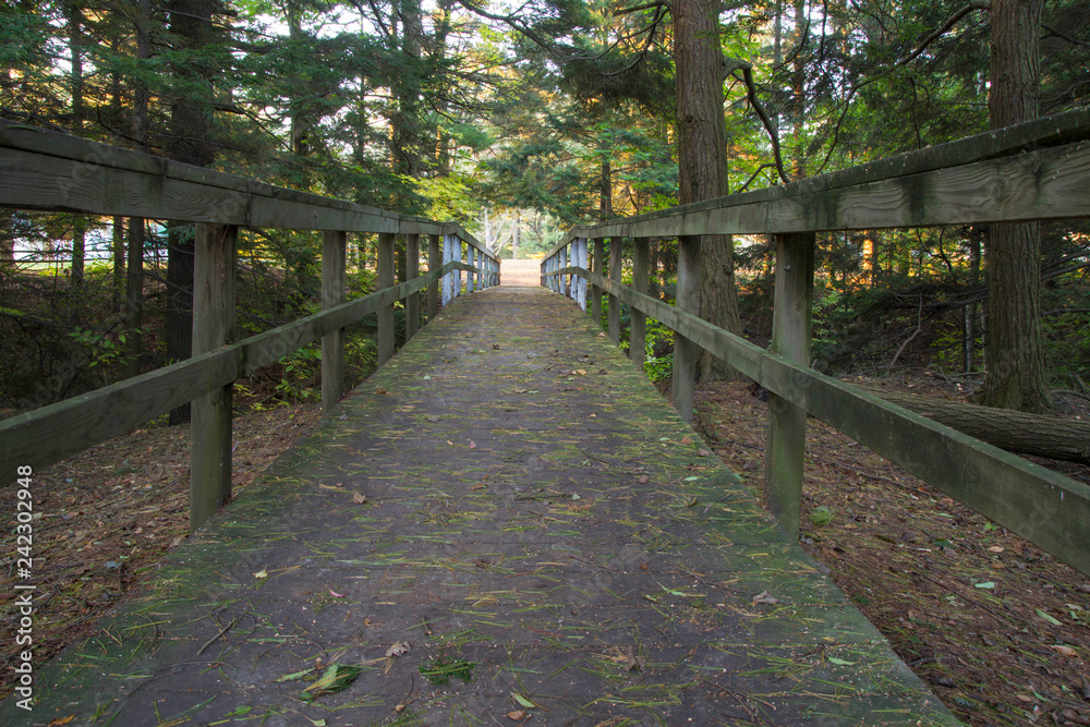 The Way Forward. Wooden bridge through a dark Michigan forest. Horizontal orientation with copy space in foreground.