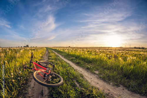 Fototapeta Naklejka Na Ścianę i Meble -  bike lying on a dirt road in a field at sunset