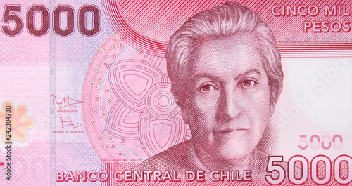 Chilean 5000 peso (2009) banknote. Chile money currency close up. Chile economy. photo