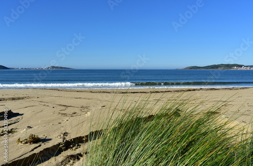 Beach with vegetation in sand dunes and small waves breaking. Blue sea with foam  sunny day. Galicia  Spain.