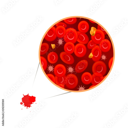 Erythrocytes with white blood cells and cholesterol, blood composition concept illustration on white