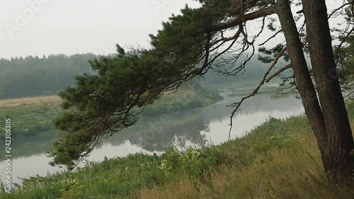 Morning fog on the river.