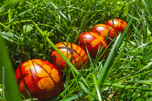 Wallpaper Mural uova di Pasqua colorate sul prato verde banner bello Torontodigital.ca