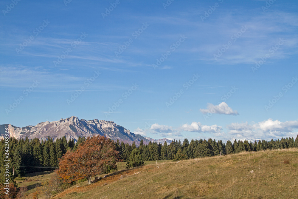 Herbststimmung im Trentino