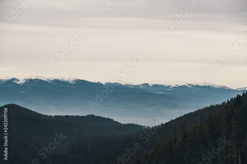 Mountains winter landskape, stone and trees © diignat