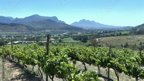 Cape Winelands - Franschhoek Valley