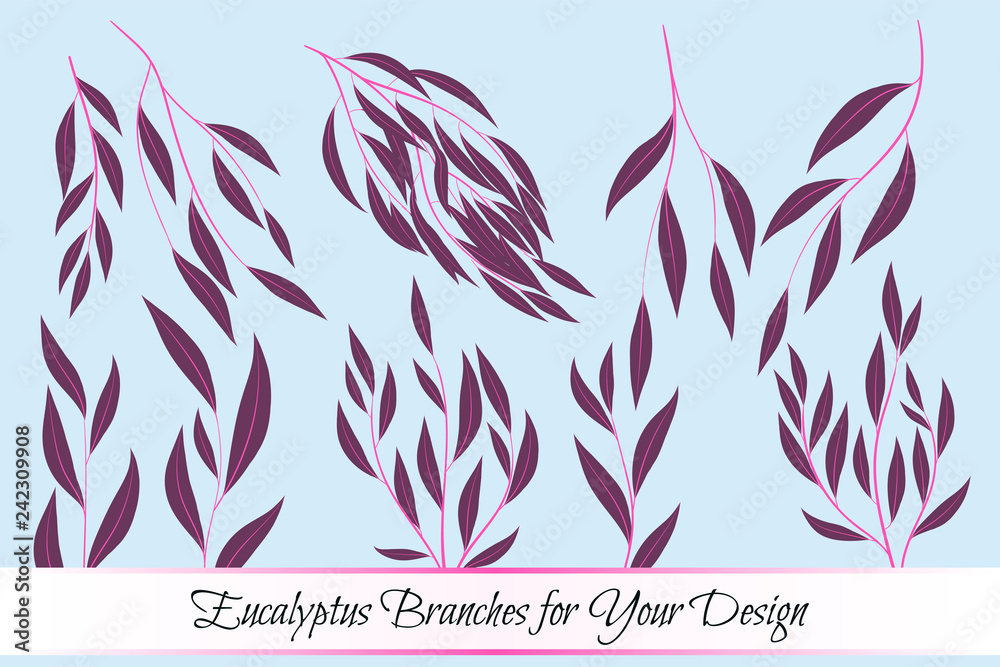 Eucalyptus Vector. Decorative Vector Leaves and Branches. Elegant Foliage. Beautiful Floral Element for Wedding Design. Tropical Plants. Flowers Isolated and Eucalyptus Vector for Card, Invitation. Eucalyptus Vector. Decorative Vector Leaves and Branches. Elegant Foliage. Beautiful Floral Element for Wedding Design. Tropical Plants. Flowers Isolated and Eucalyptus Vector for Card, Invitation.