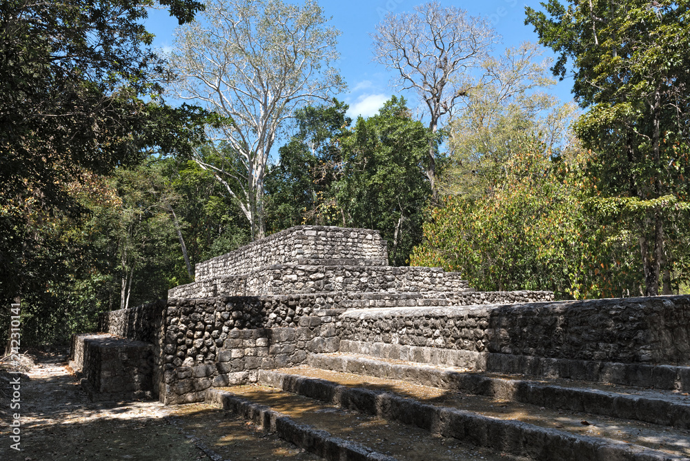 the ruins of the ancient mayan city of calakmul, campeche, mexico
