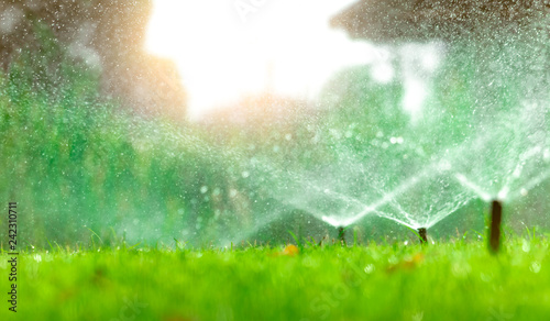 Automatic lawn sprinkler watering green grass. Sprinkler with automatic system. Garden irrigation system watering lawn. Water saving or water conservation from sprinkler system with adjustable head. photo