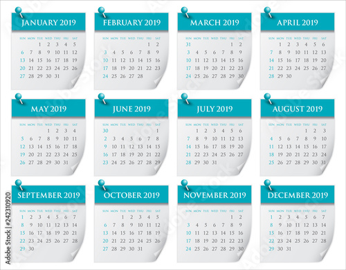 Year 2019 monthly calendar vector illustration
