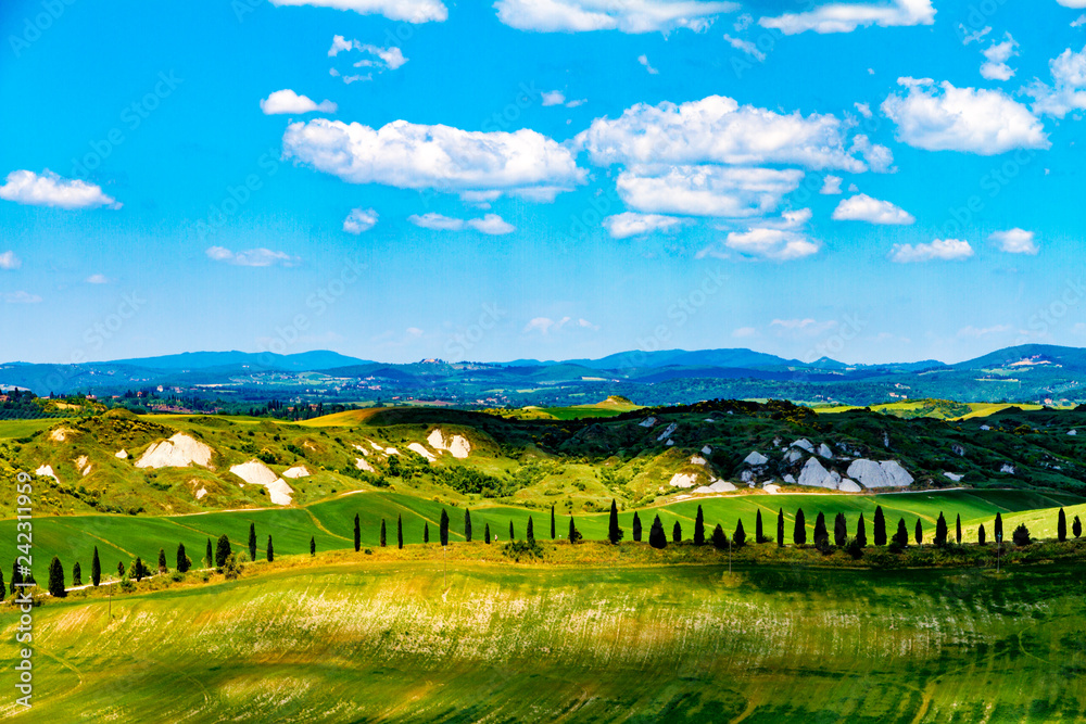 Fields in spring near Siena in Tuscany, Italy