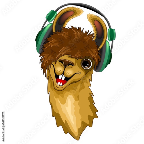 Llama Happy Music Dude with Headphones Vector illustration