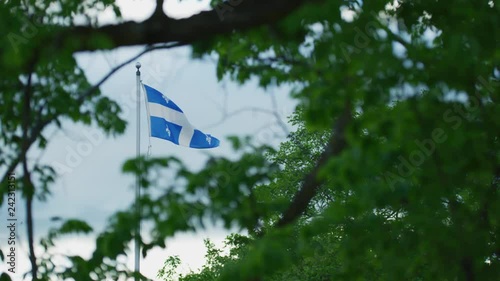 Quebec flag seen behind green branches