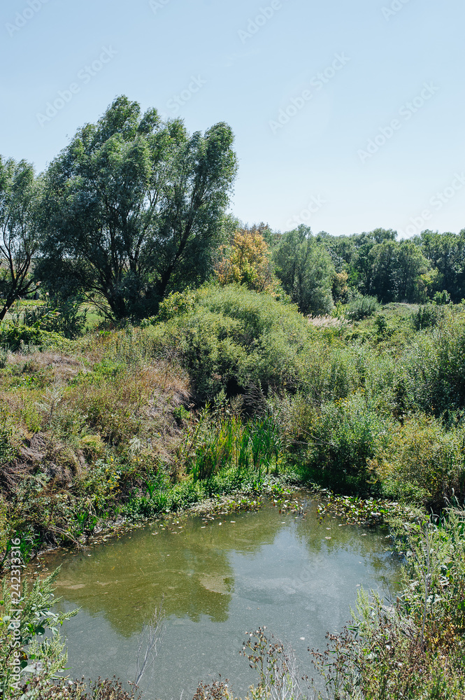 Safety life. Sunny day a calm river in summer. Beauty wild nature landscape. Ecology concept. Environmental protection. Water without pollution. Reserve of nature. Wild planet