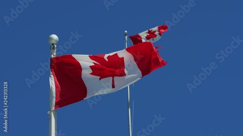 Canadian flags waving in the wind
