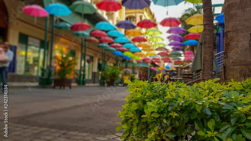 Mauritius, Urlaub, Traum, Paradis, Port Louis