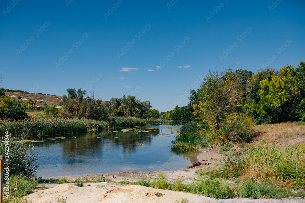 Safety life. Sunny day a calm river in summer. Beauty wild nature landscape. Ecology concept. Environmental protection. Water without pollution. Reserve of nature. Wild planet