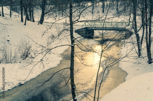 Small bridge over frozen water in the morning