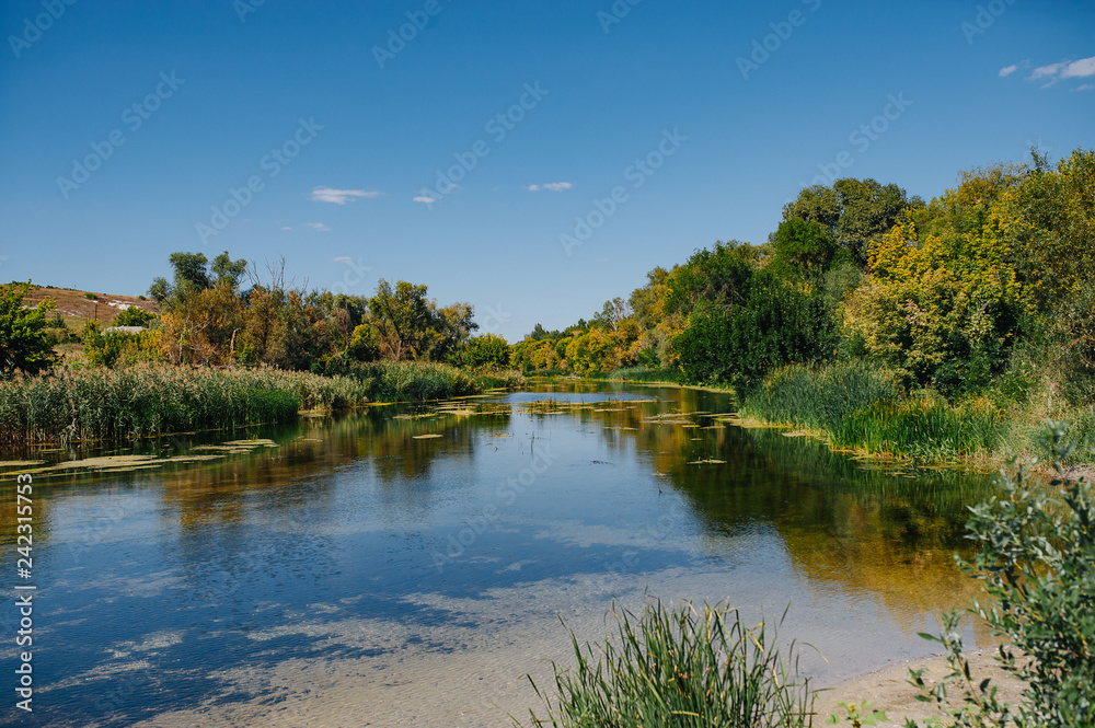 Safety life. Sunny day a calm river in summer. Beauty wild nature landscape. Ecology concept. Environmental protection. Water without pollution. Reserve of nature. Wild planet Safety life. Sunny day a calm river in summer. Beauty wild nature landscape. Ecology concept. Environmental protection. Water without pollution. Reserve of nature. Wild planet