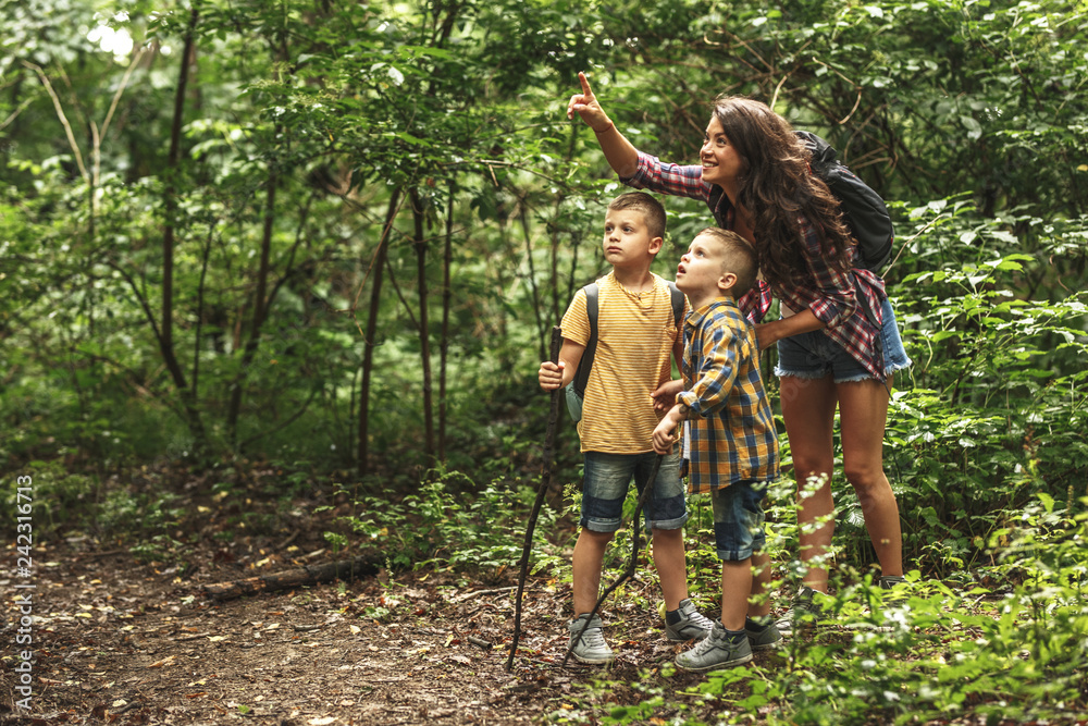 Mother and her little sons hiking trough forest .They learning about animal and plant life.