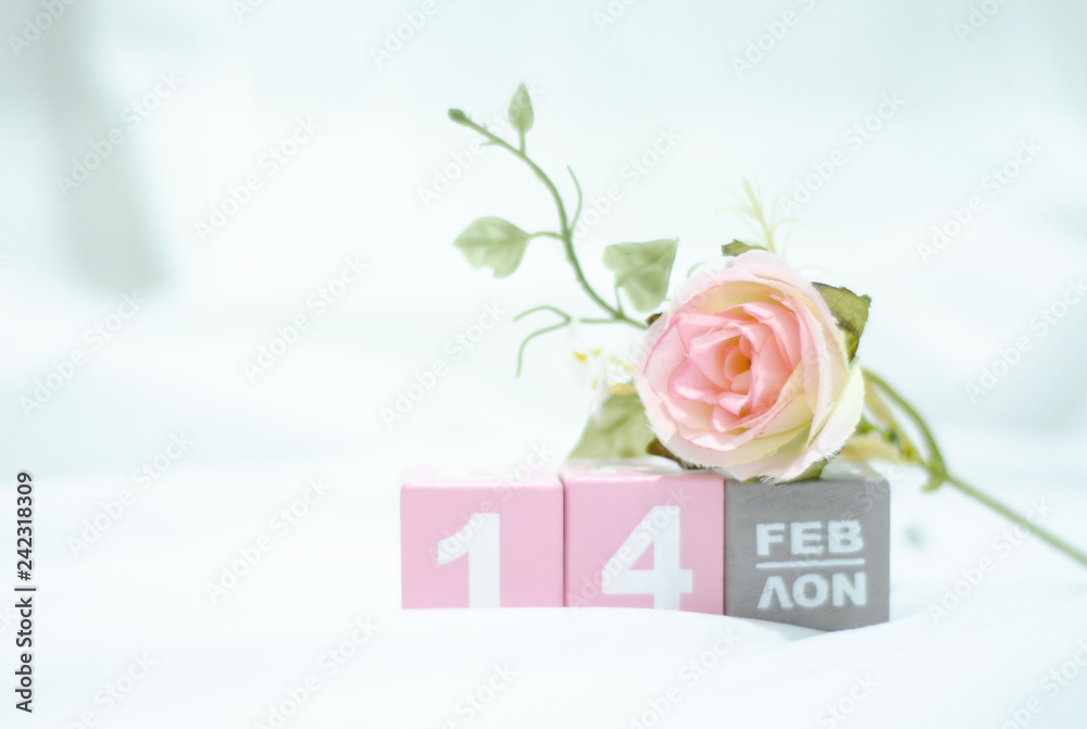 Fototapeta premium Pink square wood with white numbers 1 and 4.Gray square wood with white letters FEB.February 14 Valentine's Day