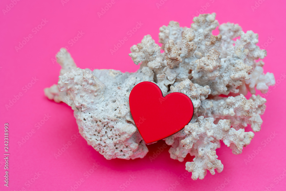Heart and Coral - Valentine's Day Card