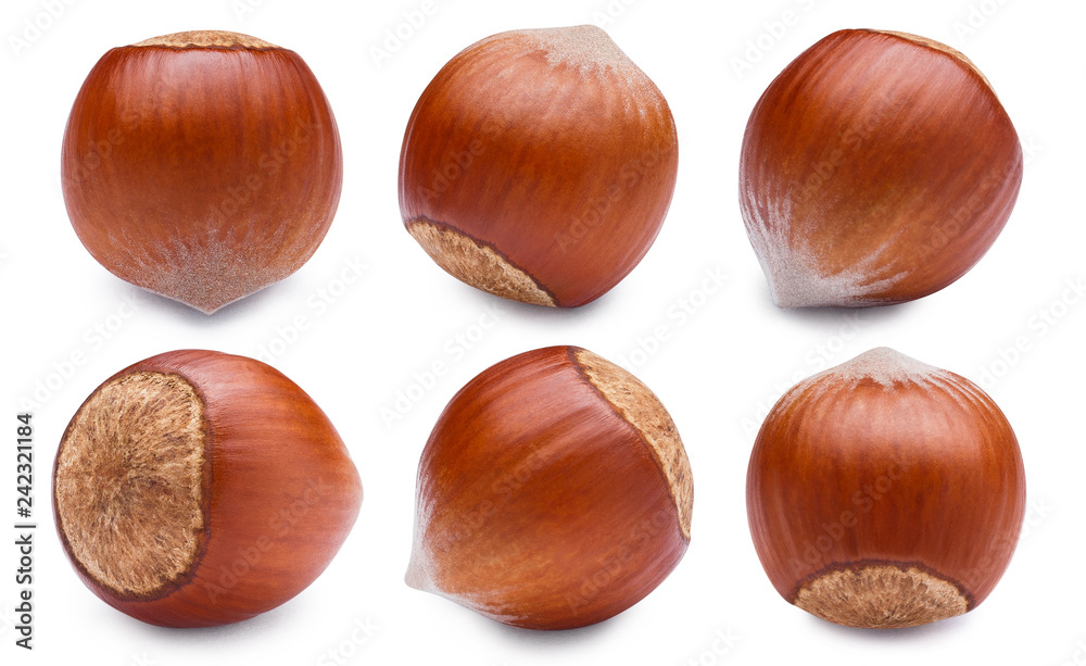 Set of hazelnuts, isolated on white background