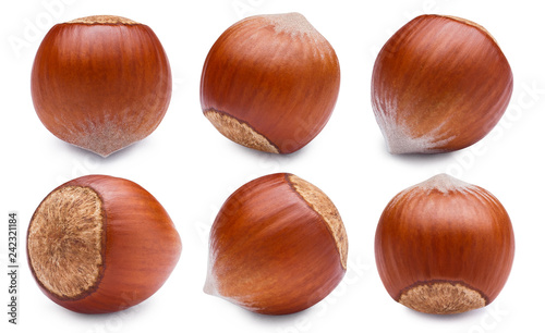 Set of hazelnuts, isolated on white background