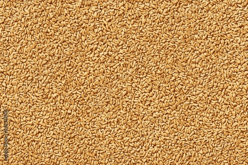 Wheat seeds and berries close up shot for texture or background