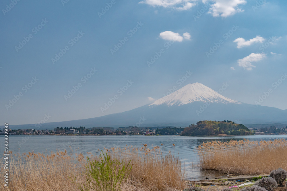 Mt. Fuji with blue sky at Kawaguchiko lake, Japan