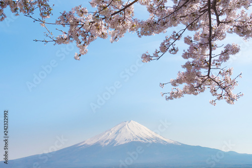 Mount Fuji in spring with sakura cherry blossom.