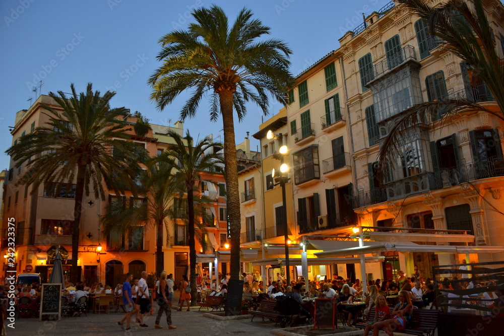 Fototapeta premium Mallorca