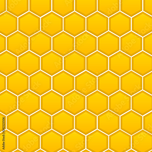 Honeycomb, vector isolated on white background