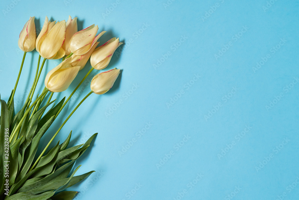 Fototapeta premium Bouquet of yellow tulips on blue pastel background, copy space. Spring minimal concept. Womens Day, Mothers Day, Valentine's Day, Easter, birthday. Nature background. Flat lay, top view