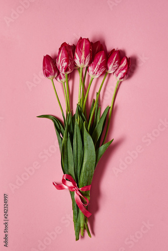 Bouquet of tulips on pink pastel background, copy space. Spring minimal concept. Womens Day, Mothers Day, Valentine's Day, Easter, birthday. Nature background. Flat lay, top view © mirage_studio