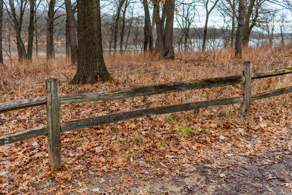 Winter Forest and Fence with a Pond in the background at Suburban Willow Springs Winter Forest and Fence with a Pond in the background at Suburban Willow Springs