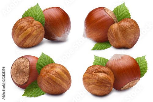 Set of hazelnuts with leaves, isolated on white background
