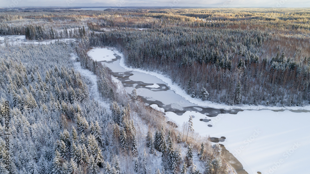 Aerial view of lake and boreal forest covered by snow. Winter season.	