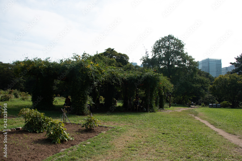 Naklejka premium 自然